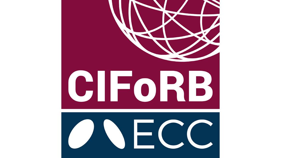 Commonwealth Initiative for Freedom of Religion and Belief